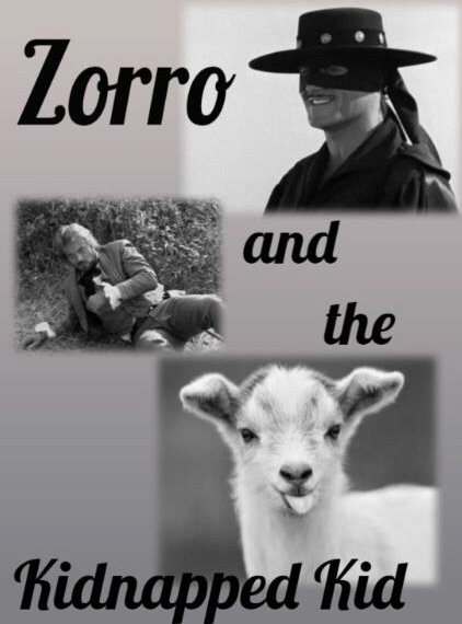 zorro and the kidnapped kid cover