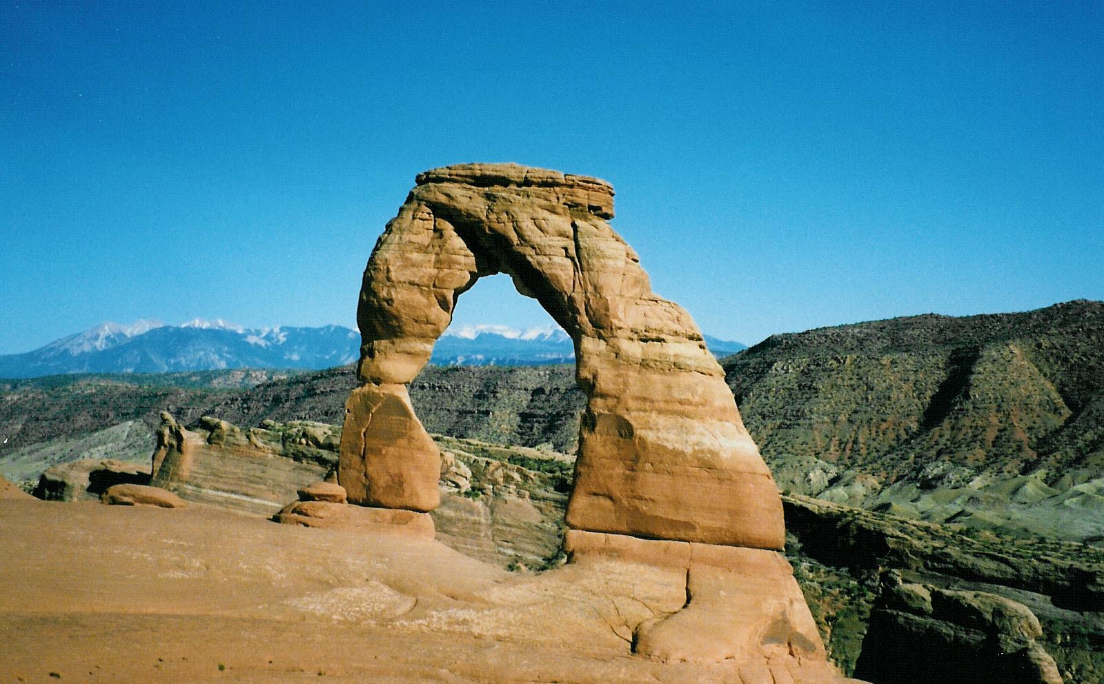 Delicatearch