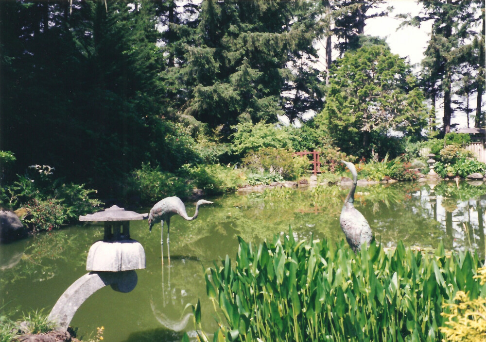Shore acres state park 697 crane statues and pond
