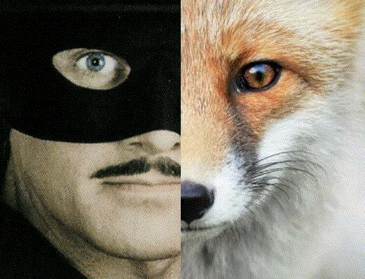 Zorro fox